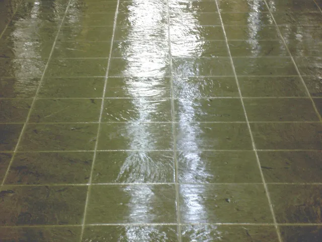 Dark slate floor with a wet-look finish after cleaning and sealing